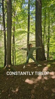 Constantly tired?

We were never meant to carry this much noise.

You don’t need to push harder.

You need space.
.
.
.
.
.

#burnoutrecovery #mentalhealthmatters #nervoussystemhealing #restisnotearned