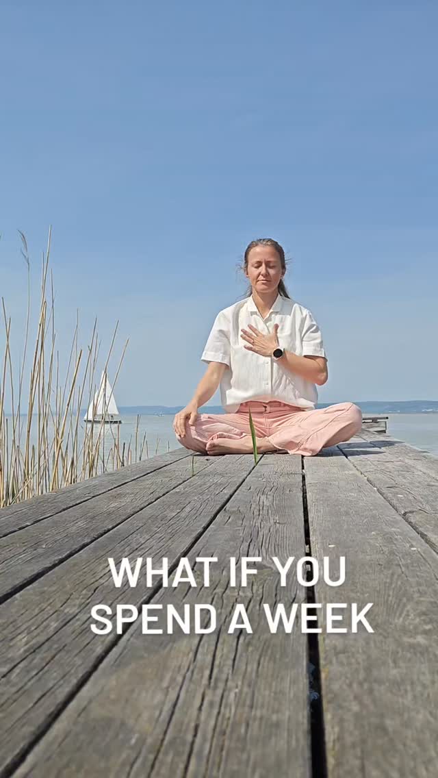 What if you spend a week where nothing is expected of you.

No pressure.
No adjusting to others.
No looking around.

A week without performing and improving.

What would that feel like?

This kind of Retreat is happening  in Kiveri, Greece this summer.
@seansoul_yogaretreats

More info in Bio.
.
.
.
.
.

#yogaretreatgreeece #retreatyourself #slowlivingretreat #mindfulretreat
