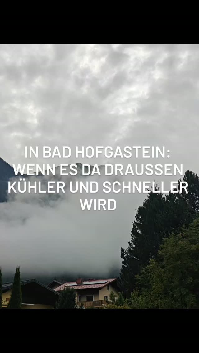 MINDFULNESS im November

Draußen wird es kühler, die Tage kürzer – und dein Körper sehnt sich spürbar nach Wärme, Erdung und echtem Auftanken.

Im November zieht sich die Natur zurück und genau das darfst auch du tun.

In Lichtdurchflutete Räume, die wilde, klare Kraft der Gasteiner Wasserfälle, wohlige Wärme im Spa, sanfte Yoga-Flows bei Kerzenschein und gemeinsames Zeremonien.

Vom 8. bis 11. November schenken Selina @selinabuebl & ich dir im @alpenhaus.gastein einen Raum zum absoluten Abschalten:

Wir nutzen den Spätherbst,um deine Akkus vor dem Weihnachtsrummel komplett aufzuladen.

Es gibt noch ein paar freie Plätze! Schreib uns „ALPENKRAFT“ per DM oder sichere dir deinen Platz direkt über den Link in der Bio.
.
.
.
.
.
#mindandflow #badhofgastein #alpenkraftmindfulness #yogaretreatösterreich #yogaretreats2026